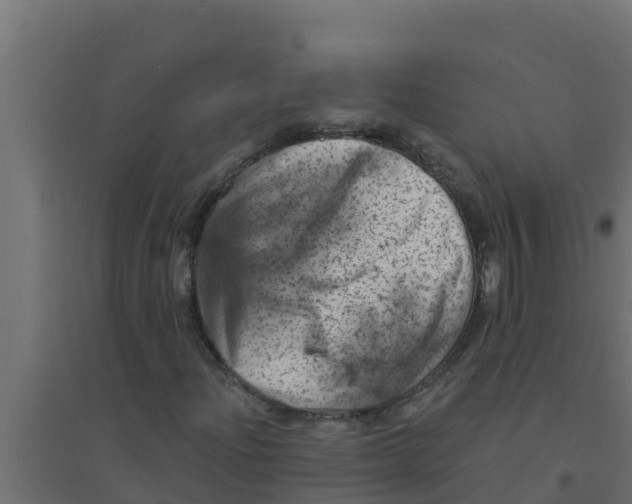 X0000094191204200711241608