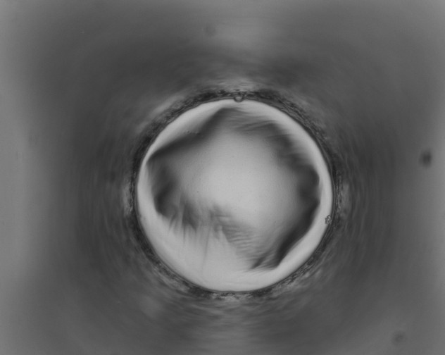 X0000094191205200711241608