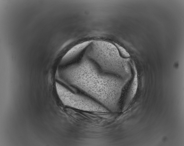 X0000094191206200711241608