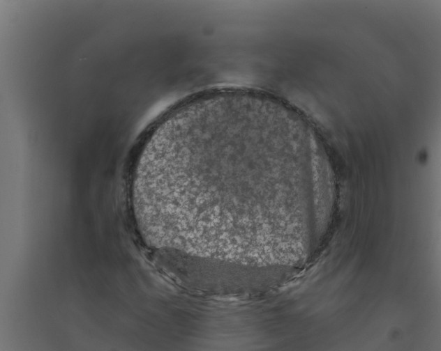 X0000094191208200711241608