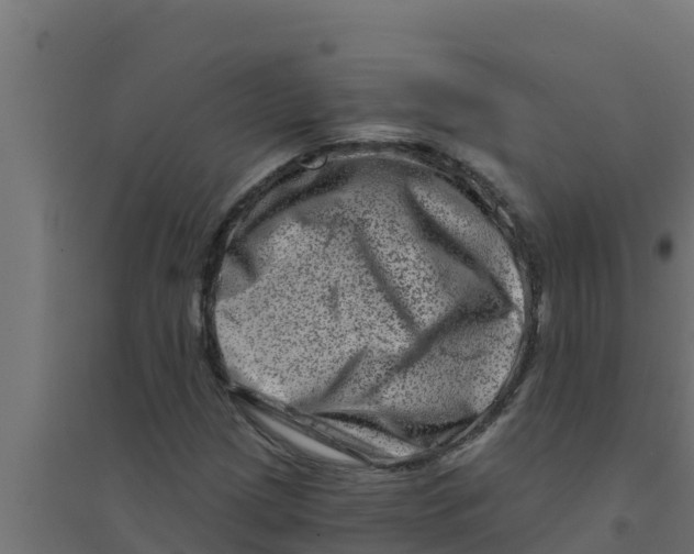 X0000094191209200711241608