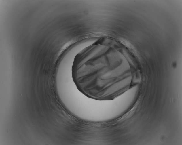 X0000094191210200711241608