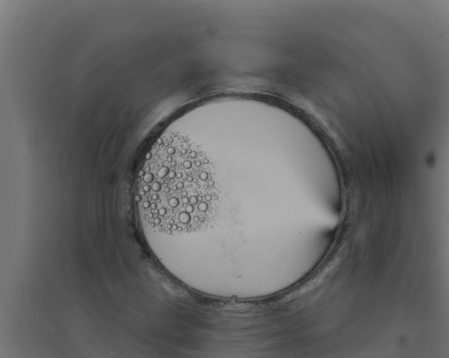 X0000094191211200711241608