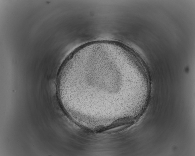 X0000094191212200711241608