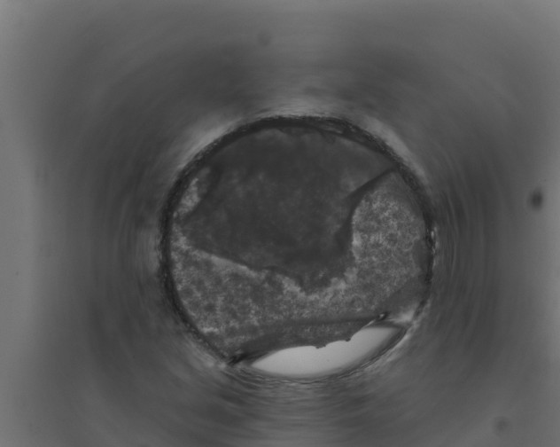 X0000094191213200711241608