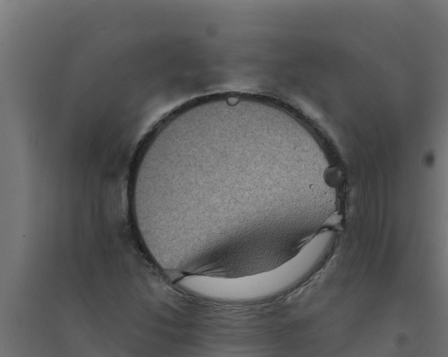 X0000094191214200711241608