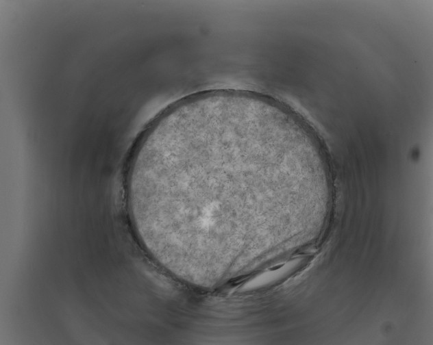 X0000094191215200711241608