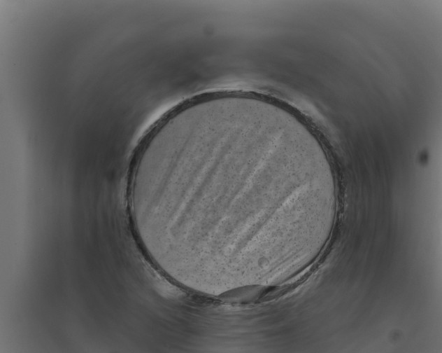 X0000094191216200711241608