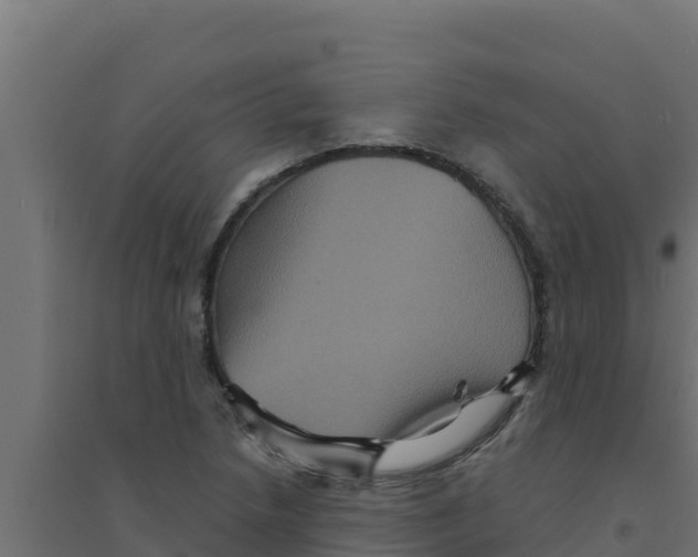 X0000094191218200711241608