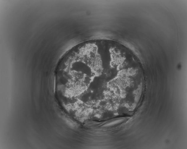 X0000094191219200711241608