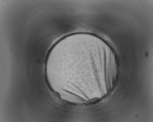 X0000094191220200711241608