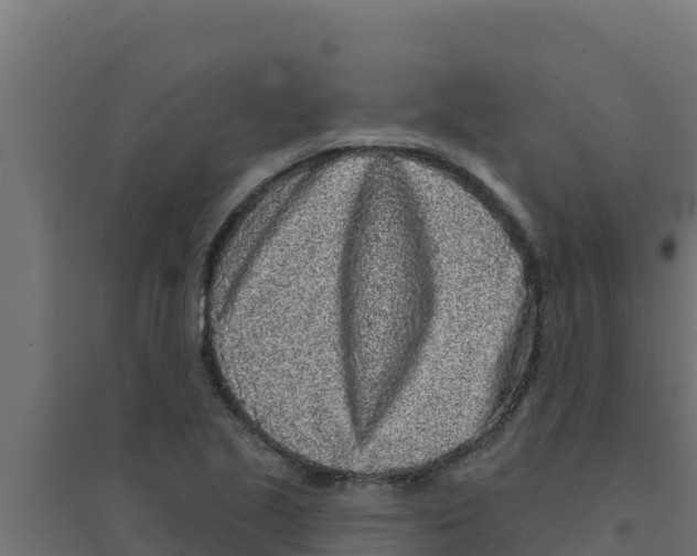 X0000094191221200711241608