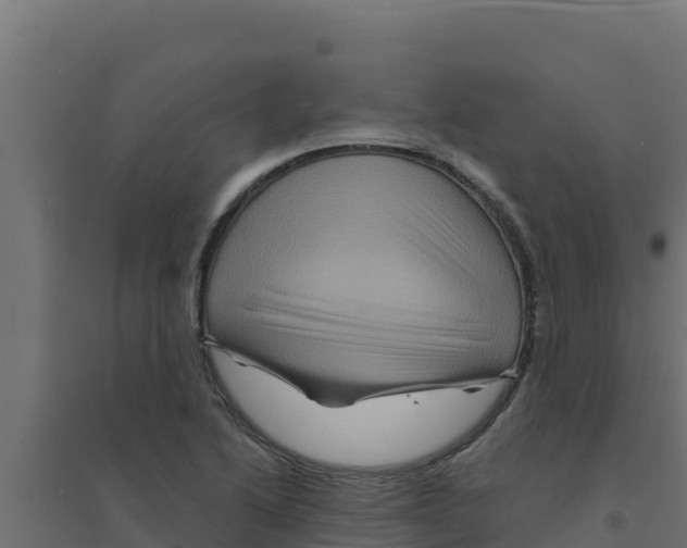 X0000094191222200711241608