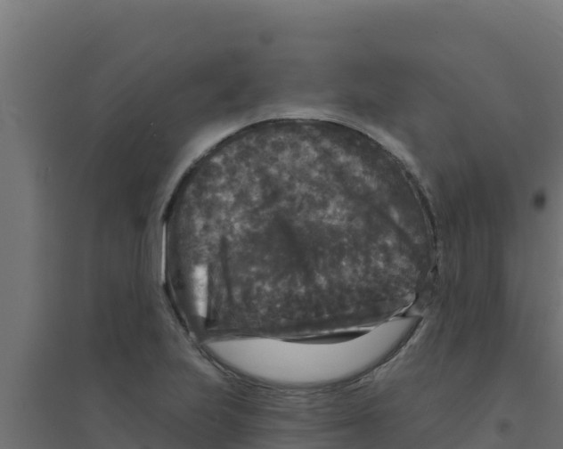 X0000094191223200711241608