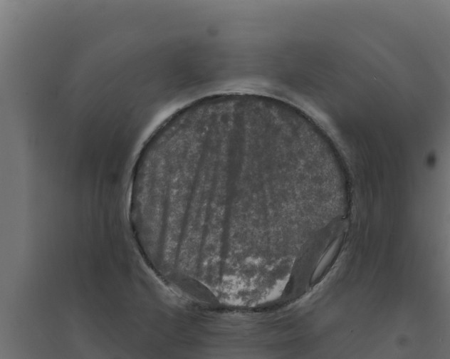 X0000094191224200711241608