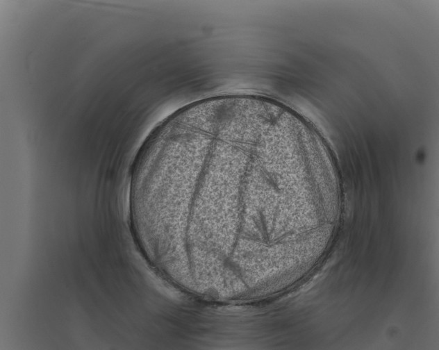 X0000094191227200711241608