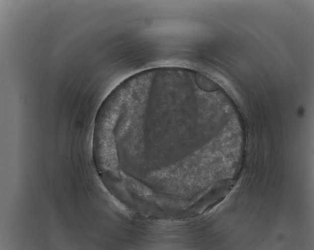 X0000094191228200711241608