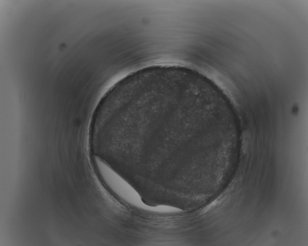 X0000094191229200711241608