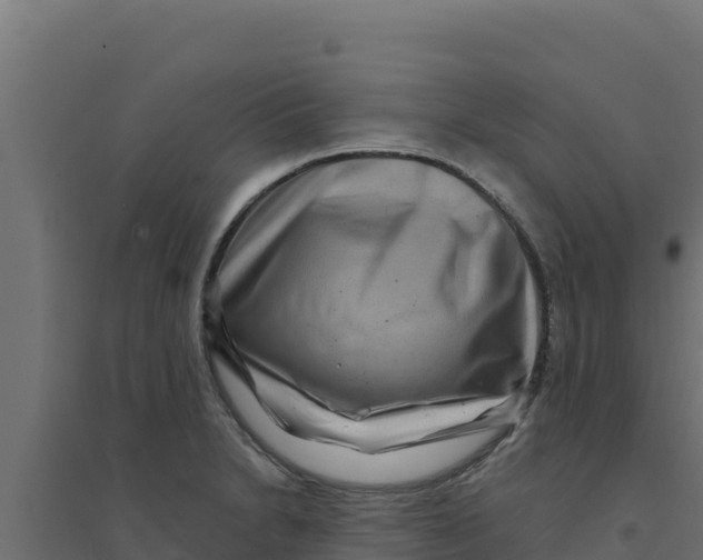 X0000094191230200711241608