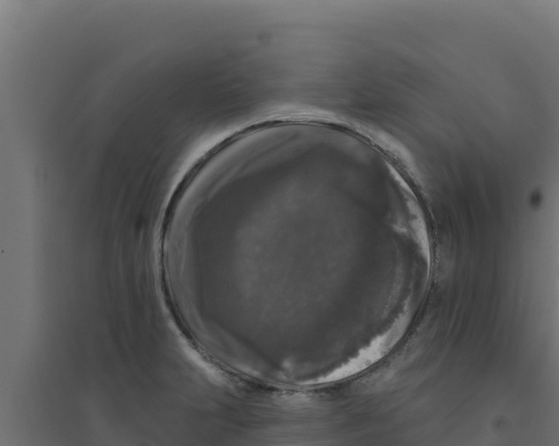 X0000094191231200711241608