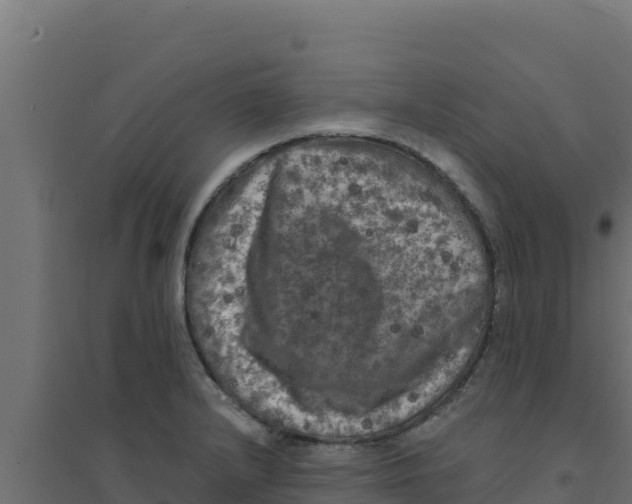 X0000094191232200711241608