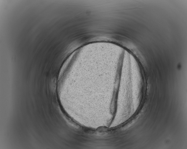 X0000094191233200711241608