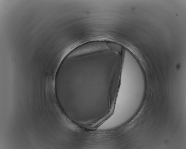 X0000094191234200711241608