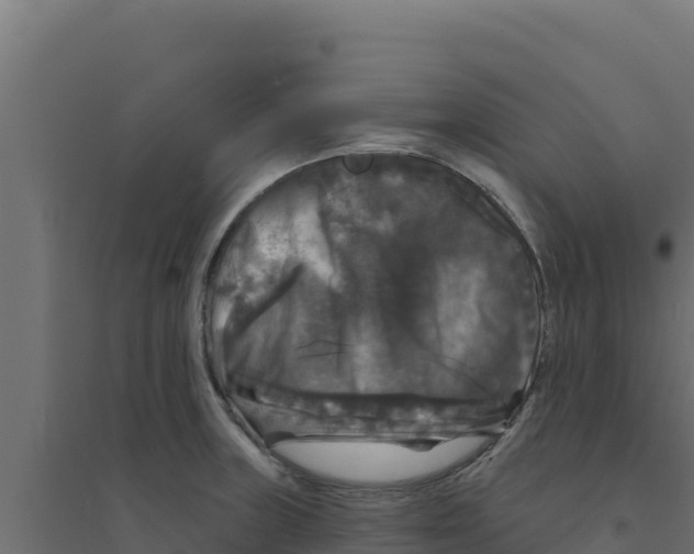 X0000094191235200711241608