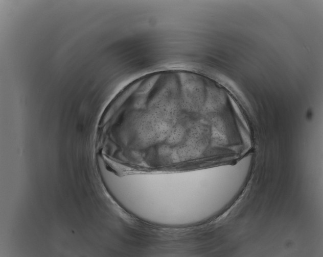 X0000094191236200711241608