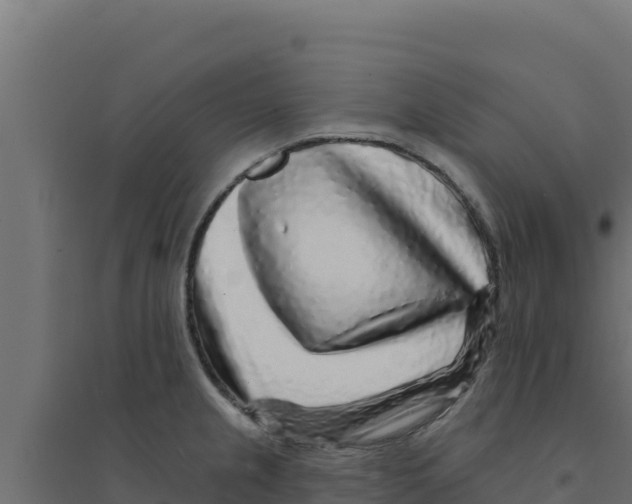 X0000094191237200711241608