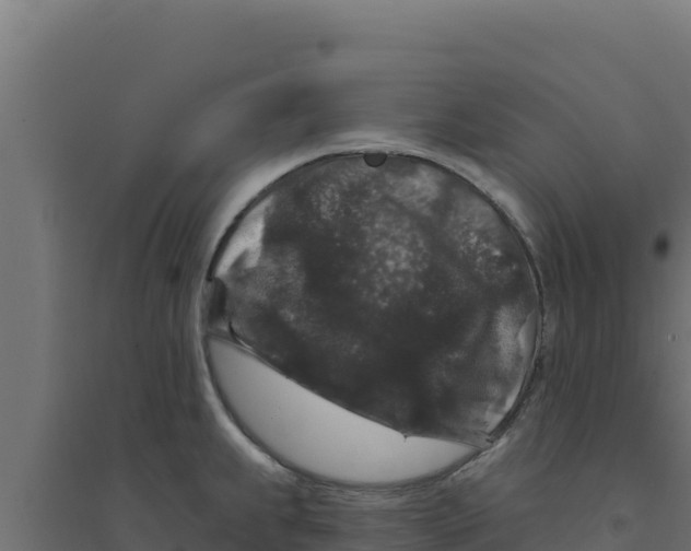 X0000094191239200711241608