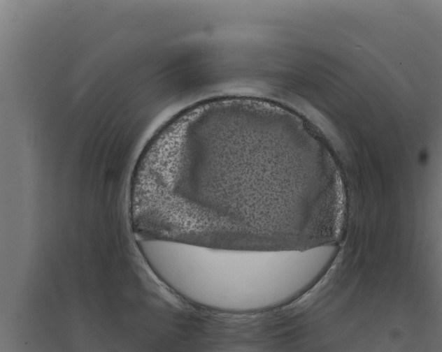 X0000094191240200711241608