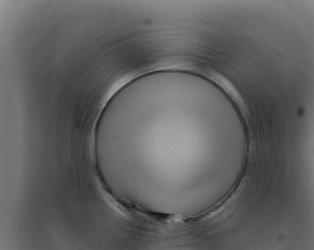 X0000094191242200711241608