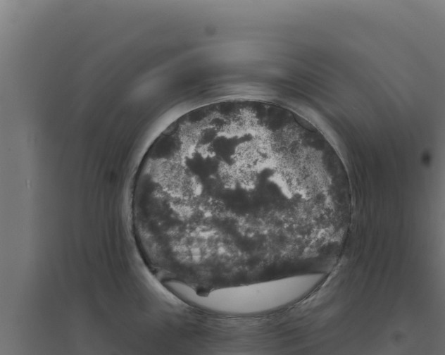 X0000094191243200711241608