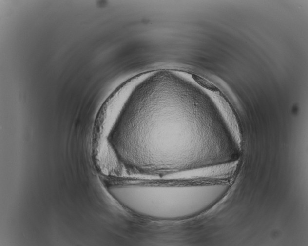 X0000094191244200711241608