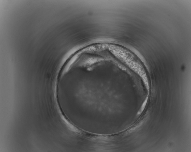 X0000094191245200711241608