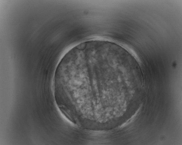 X0000094191247200711241608