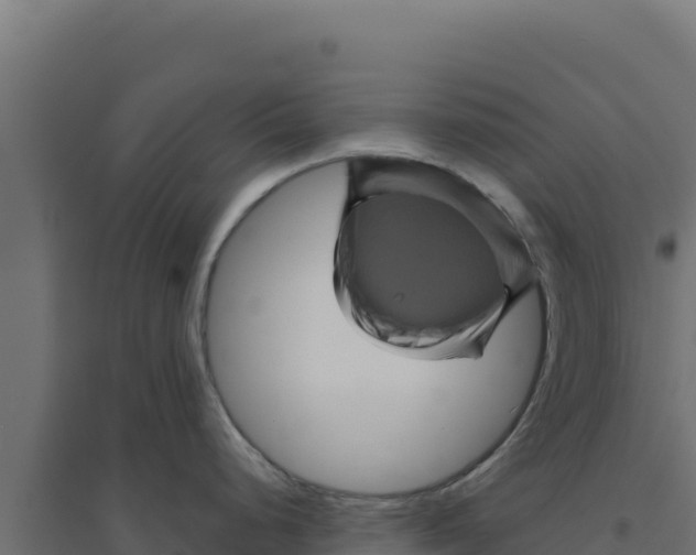 X0000094191248200711241608