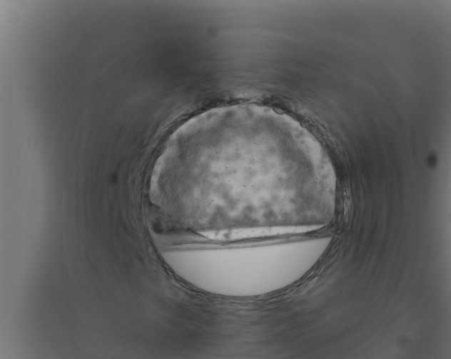 X0000094191249200711241608