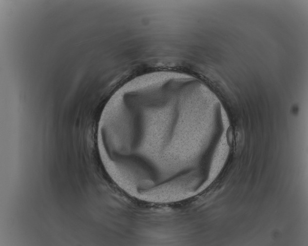 X0000094191250200711241608