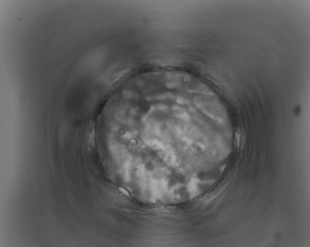 X0000094191251200711241608