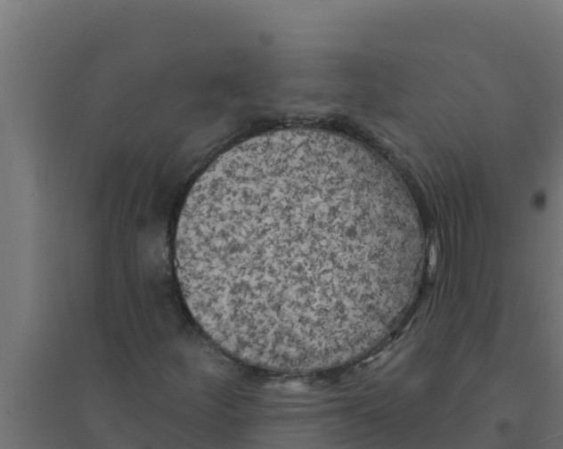 X0000094191252200711241608