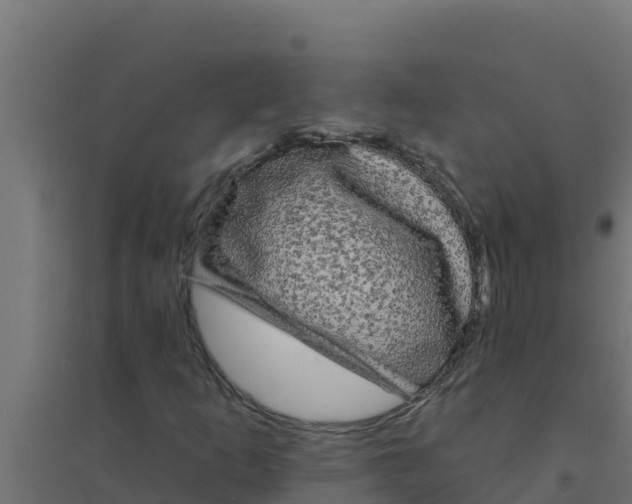 X0000094191253200711241608