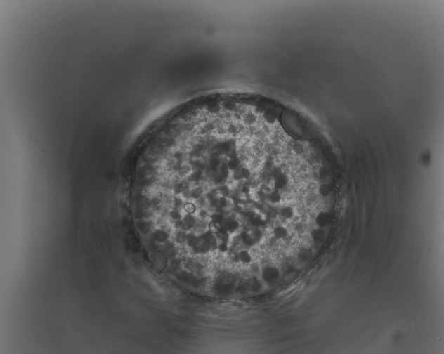 X0000094191255200711241608