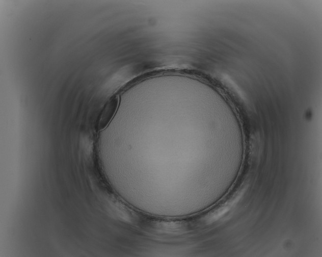 X0000094191257200711241607