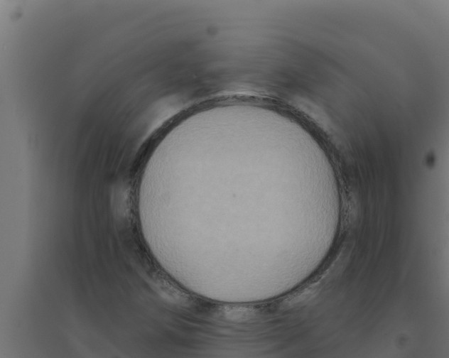 X0000094191258200711241607