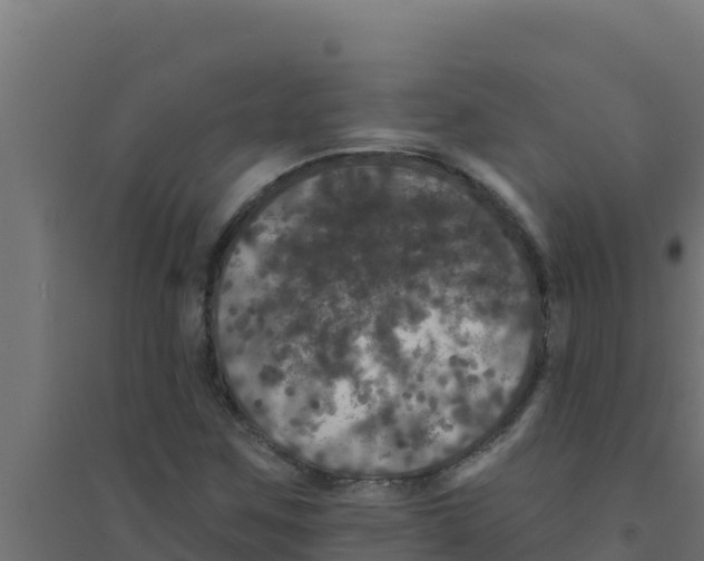 X0000094191259200711241607