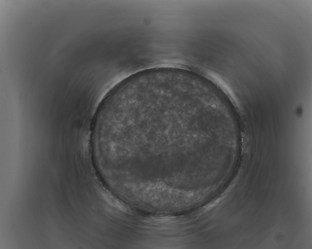 X0000094191260200711241607