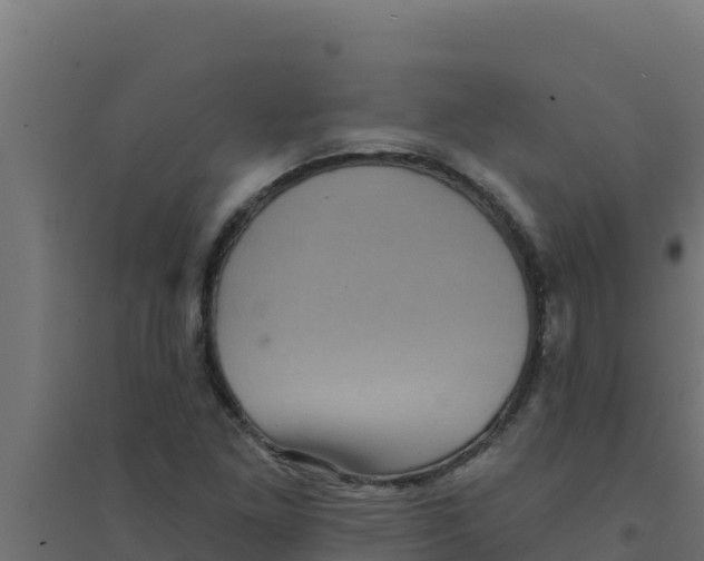 X0000094191261200711241607