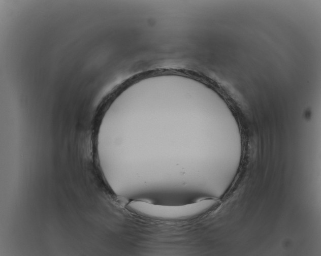 X0000094191262200711241607